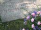 album3-34