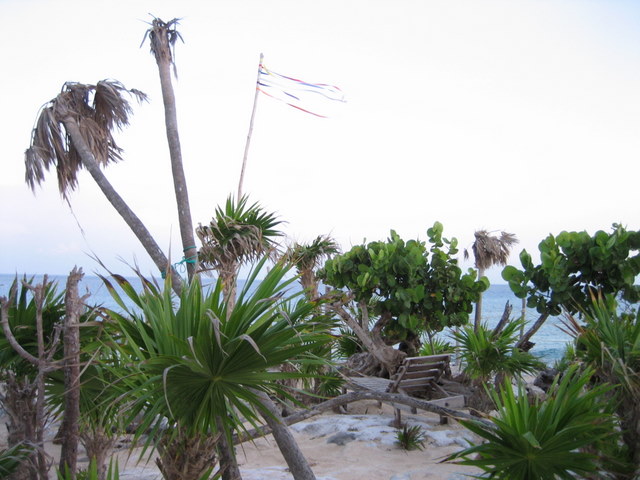 mexico098