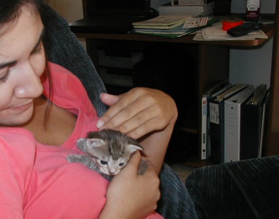 kitty-00